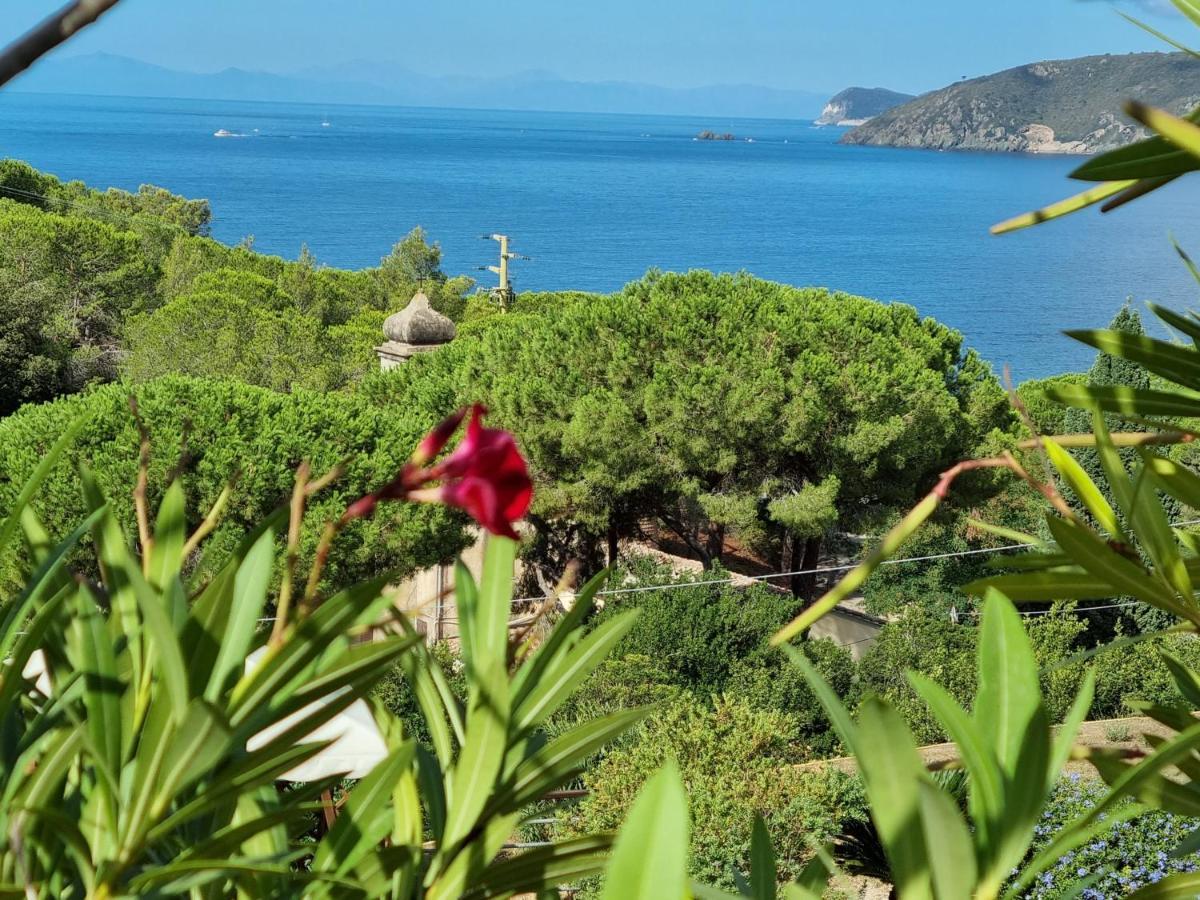 Appartamenti La Conchiglia Capoliveri  Εξωτερικό φωτογραφία