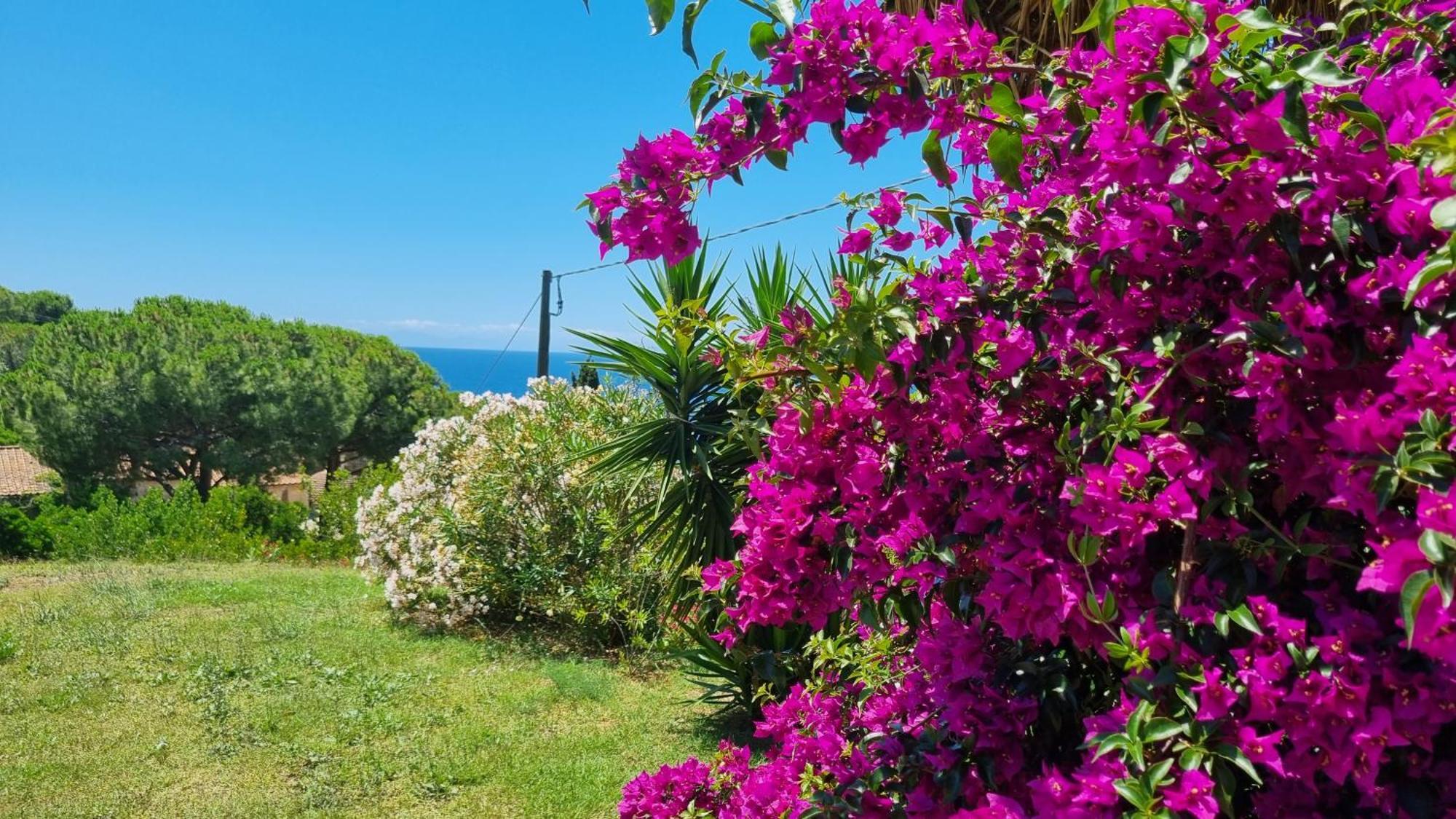 Appartamenti La Conchiglia Capoliveri  Εξωτερικό φωτογραφία
