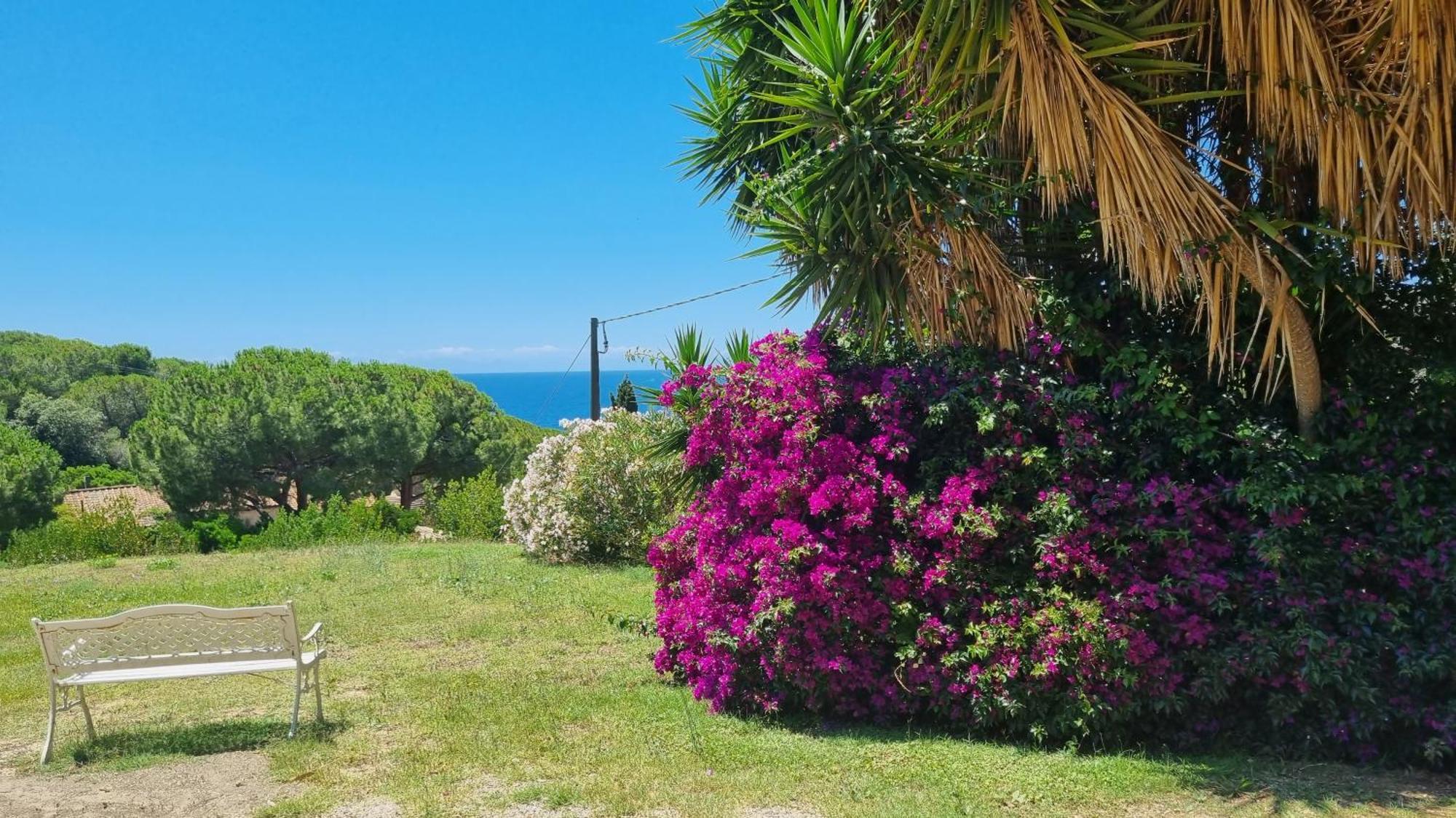 Appartamenti La Conchiglia Capoliveri  Εξωτερικό φωτογραφία